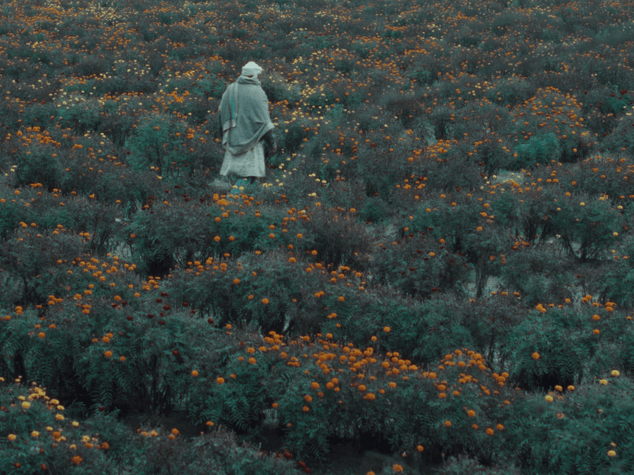 Ankur Hooda’s ‘The Calf Doll’ Wins International Praise; Premieres at BFI London