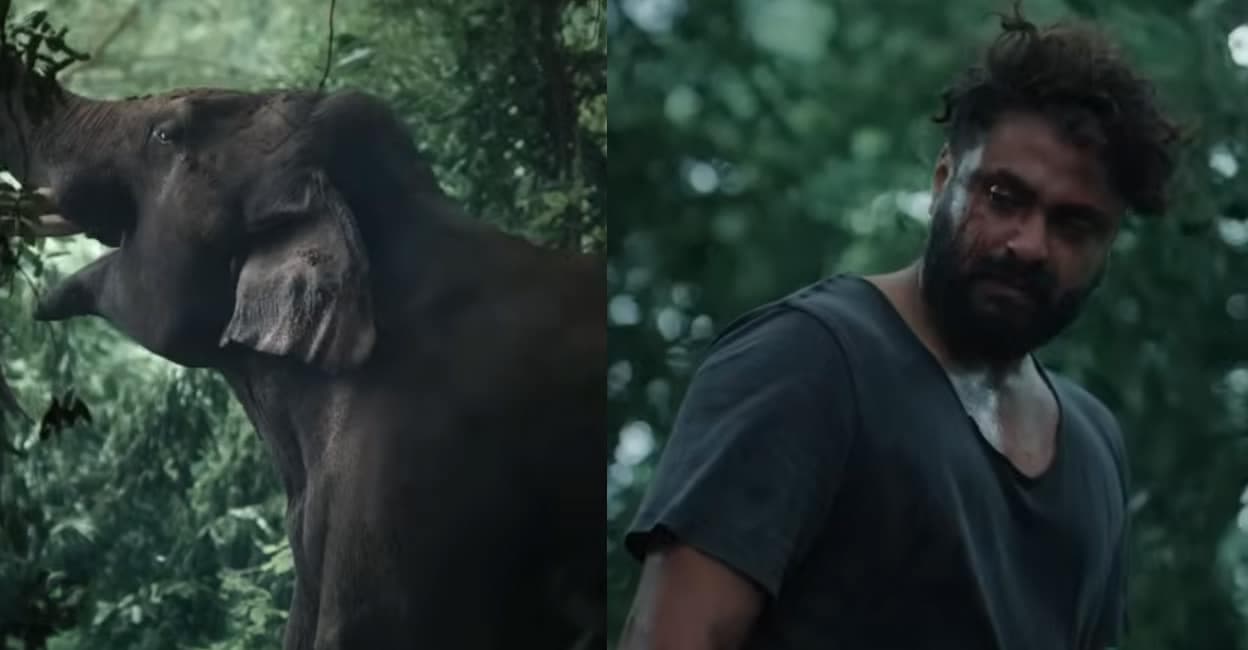 Antony Varghese Wreaks Havoc in 'Kattalan'; Brutal Action-Thriller Drops on Manorama Max