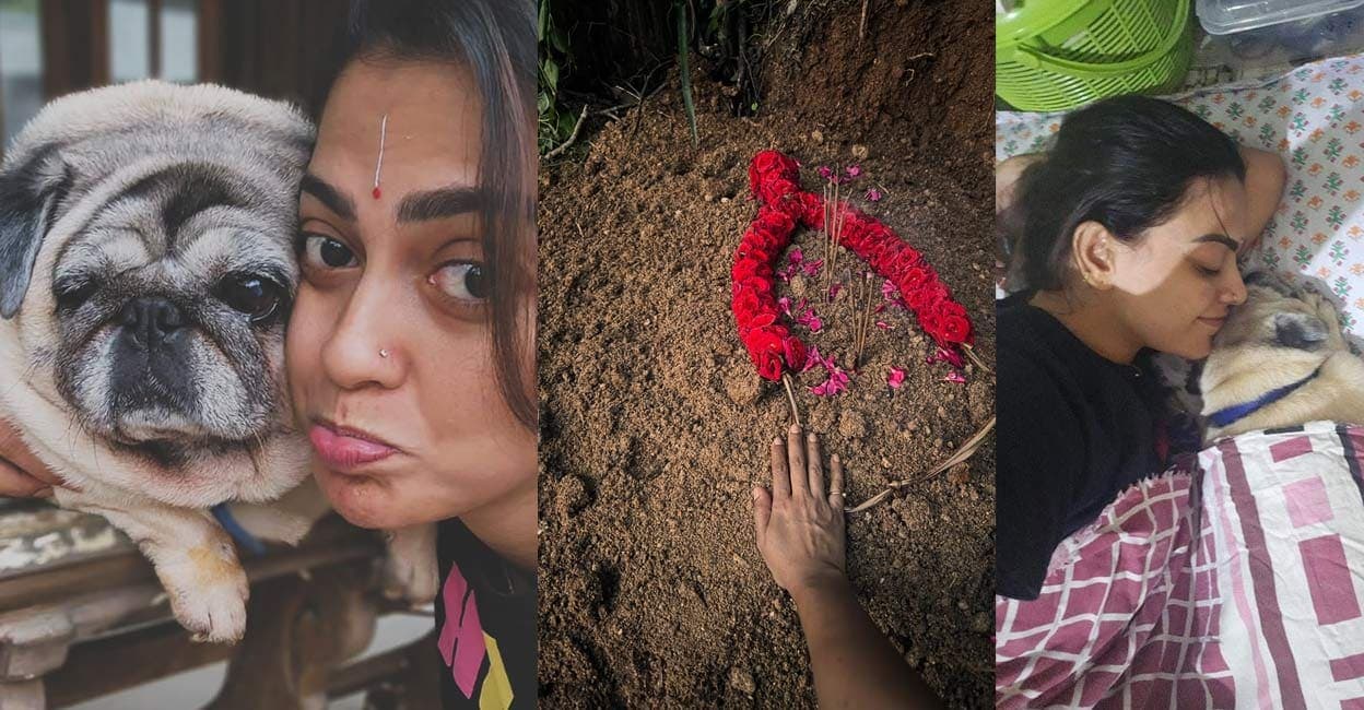 ‘ഇനി എന്നെയും കാത്ത് ഇരിക്കാൻ നീ ഇല്ല’; വളർത്തു നായ ജൂലിയുടെ വേർപാടിൽ മനസ്സുനൊന്ത് അനുശ്രീ