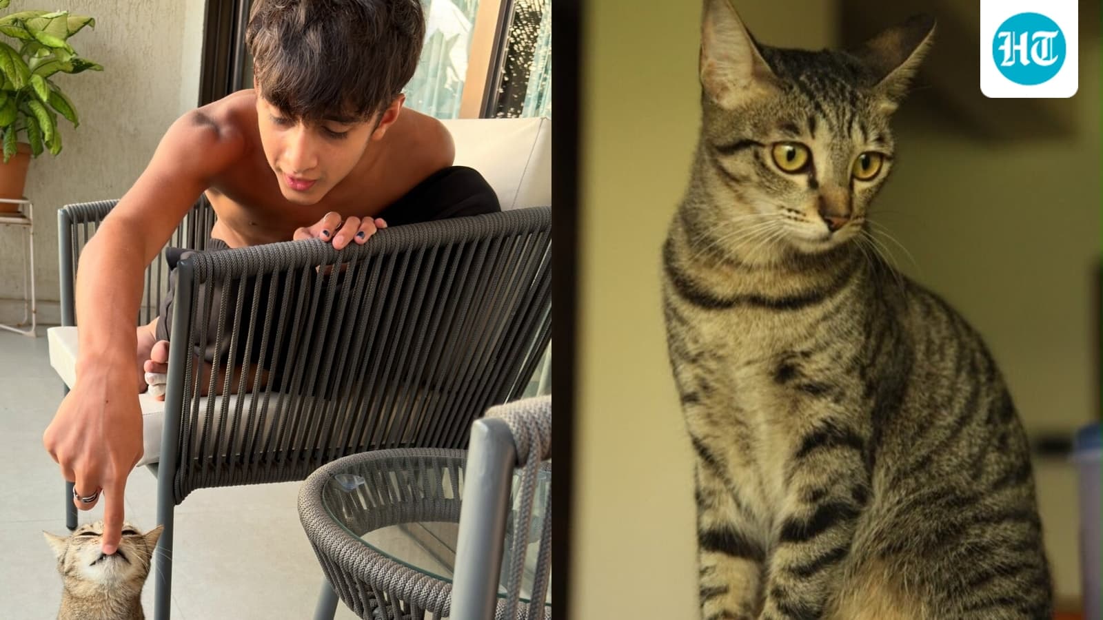 Kiran Rao Mourns Beloved Cat Miri; Son Azad's Heartbreaking Reaction Goes Viral