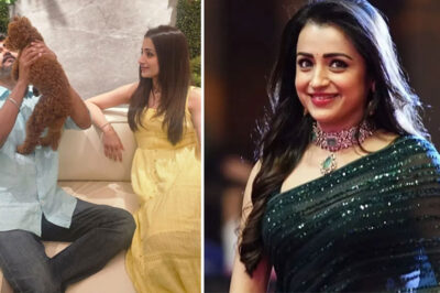 തൃഷയും വിജയ്യും പ്രണയത്തിലോ? പിറന്നാൾ ആശംസയും താരങ്ങളുടെ മറുപടികളും ചർച്ചയാകുന്നു